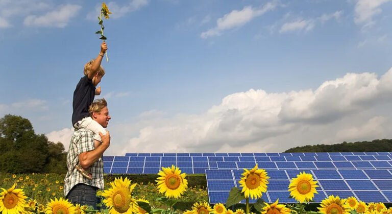 Read more about the article Solar System Case Studies